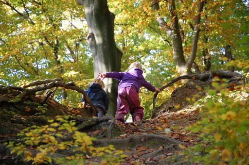 Kind dat aantekeningen maakt in een notitieboek tijdens een boswandeling in de herfst