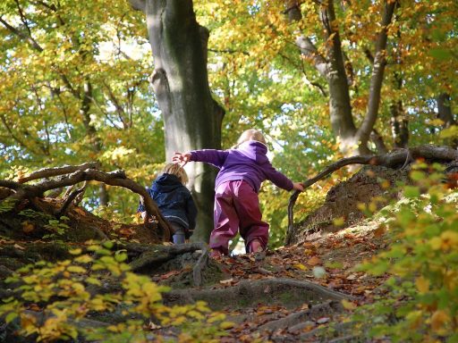 Kind dat aantekeningen maakt in een notitieboek tijdens een boswandeling in de herfst