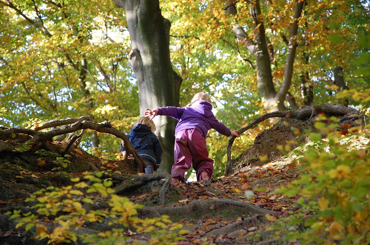 Kind dat aantekeningen maakt in een notitieboek tijdens een boswandeling in de herfst